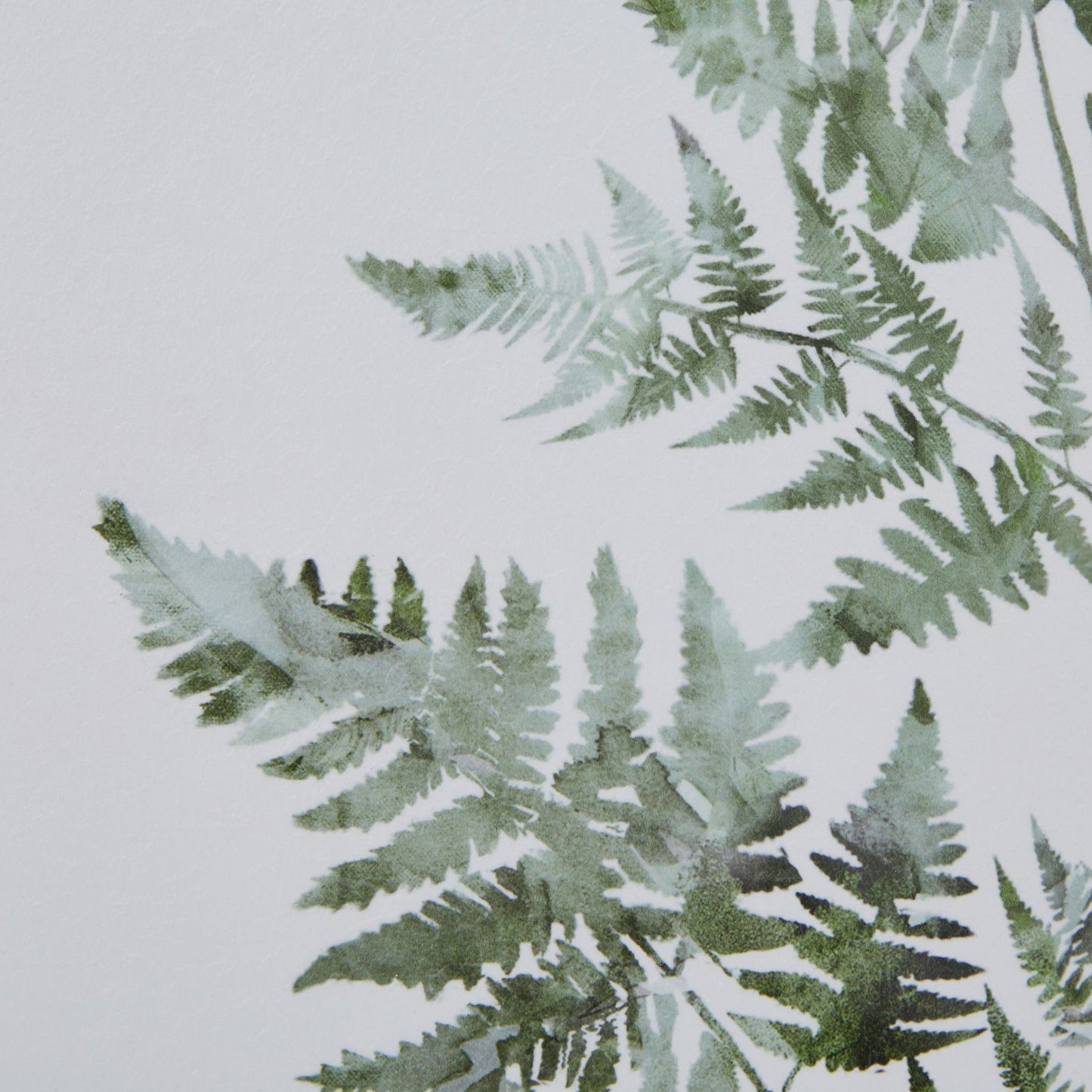 Watercolour Bracken Fern In Washed Wood Frame